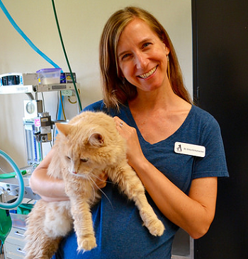 Bio photo of Dr. Erica Schumacher, smiling, in a clinical setting holding an orange and white cat